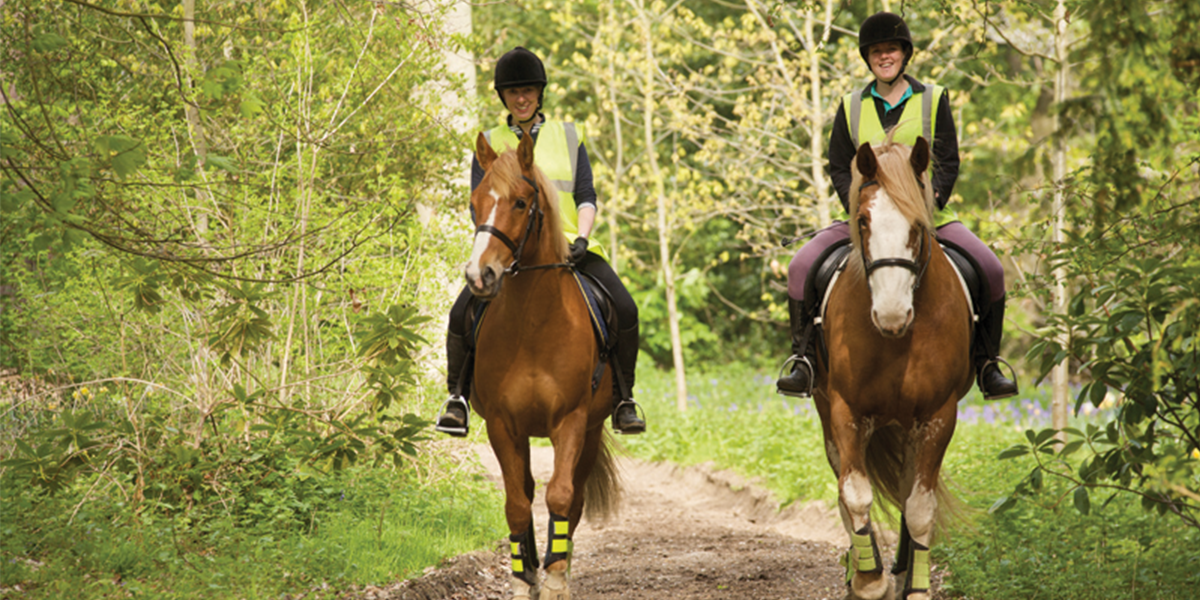 Horse trails best sale